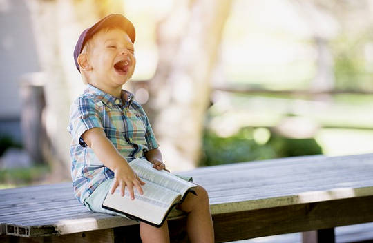 The Faith Factor: Somehow It Will Work Out by Alan Cohen The Faith Factor: Somehow It Will Work Out by Alan Cohen